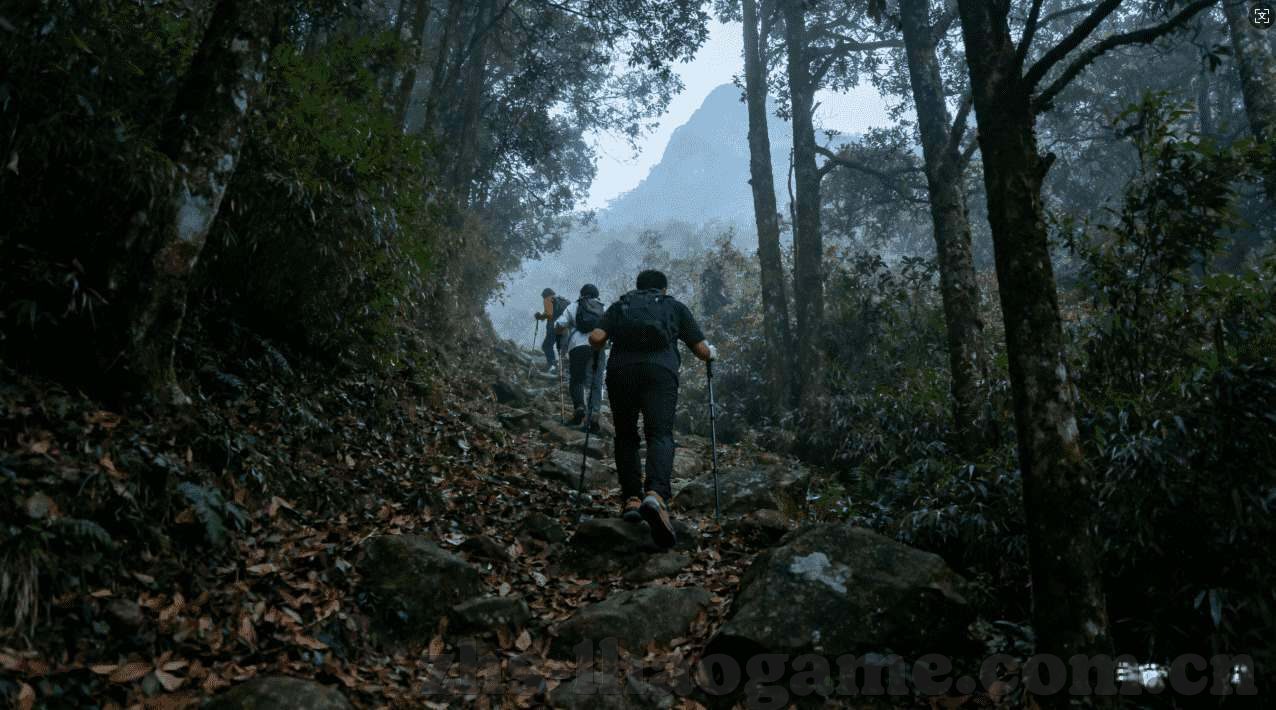 世界杯买真球官方下载-世界杯买真球官方下载，体验足球盛宴的必备指南